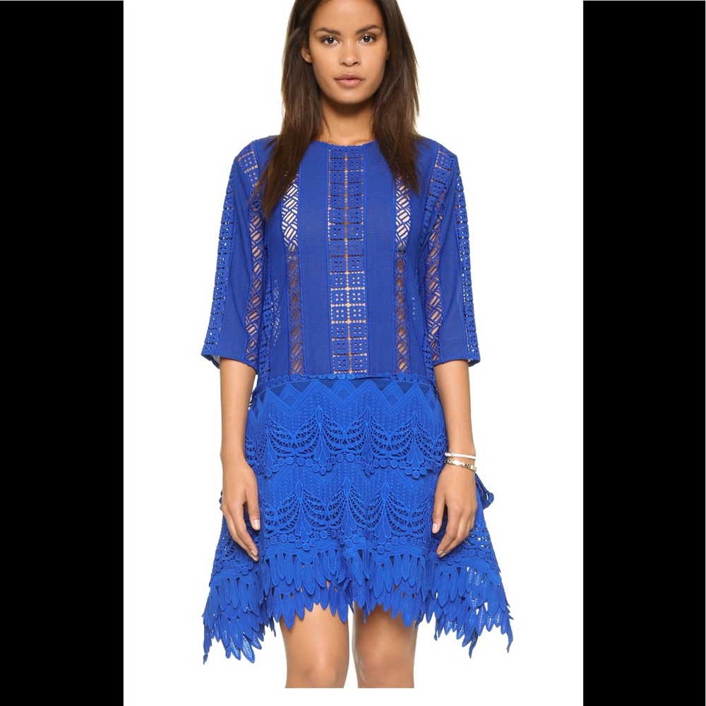 Endless Rose lace combo dress